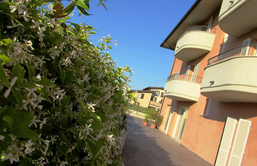 Hotel Dante Residence-1
